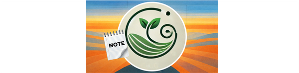 note: Play, Research & Emergence